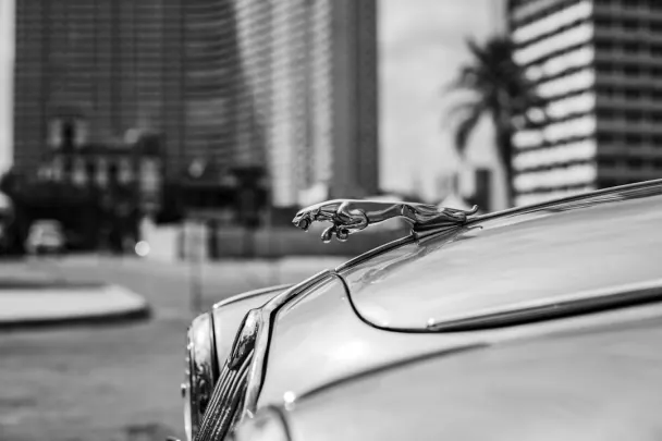 Casino Golden Reels Aip Android/iOS